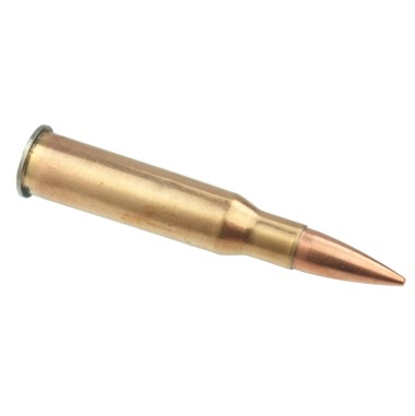 Cartridge for Mosin 7,62x54