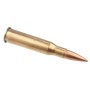 Cartridge for Mosin 7,62x54