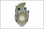 Maska MP4 Buldog zestaw wojskowy