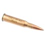 Cartridge for Mosin 7,62x54