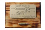 M16 KARABIN TABLICZKA OPISOWA NABÓJ 5,56mm KOLEKCJA